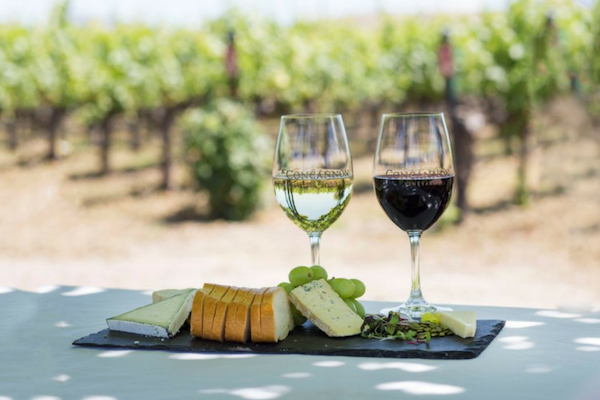 Hard cheese and wine pairings from Concannon Vineyard