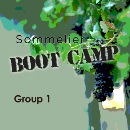Sommelier Boot Camp